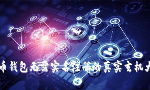 虚拟币钱包无需实名注册的真实玄机大揭秘