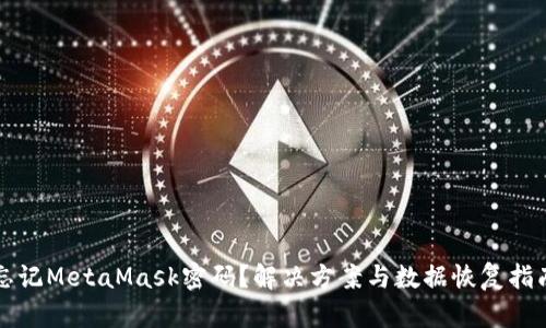 忘记MetaMask密码?解决方案与数据恢复指南