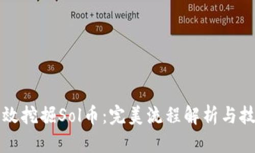 如何高效挖掘Sol币：完美流程解析与技巧分享