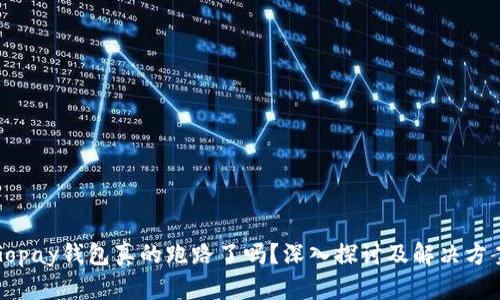 Gopay钱包真的跑路了吗？深入探讨及解决方案