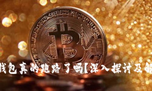 Gopay钱包真的跑路了吗？深入探讨及解决方案