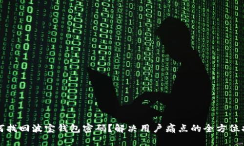 如何找回波宝钱包密码？解决用户痛点的全方位指南