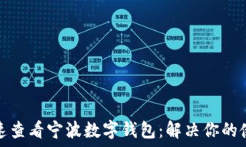   
如何快速查看宁波数字钱包：解决你的使用疑惑