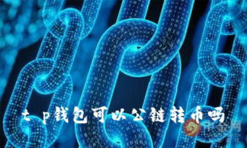 t p钱包可以公链转币吗