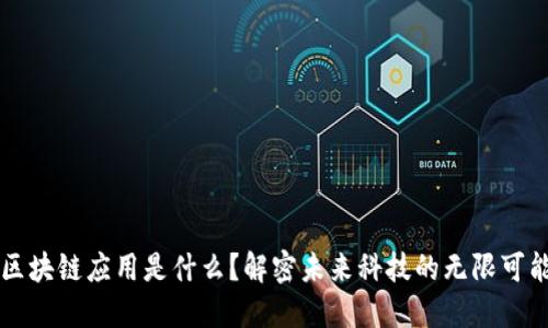 区块链应用是什么?解密未来科技的无限可能