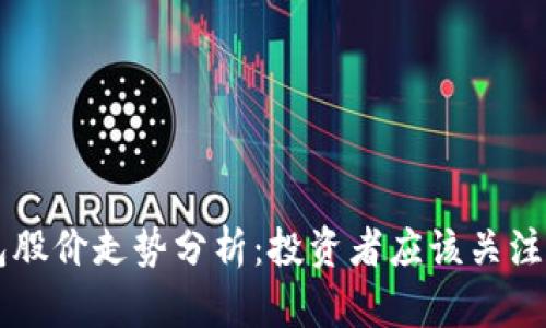 区块链钱包股价走势分析:投资者应该关注的关键因素