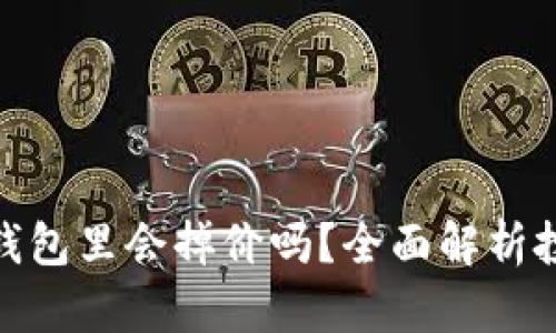 加密货币存放在钱包里会掉价吗?全面解析投资风险与安全性