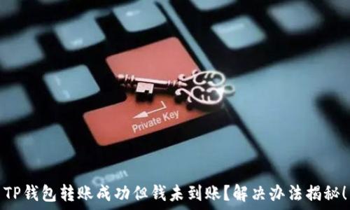 TP钱包转账成功但钱未到账?解决办法揭秘!