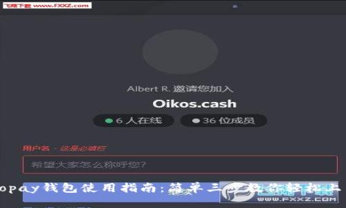 Topay钱包使用指南:简单三步教你轻松上手