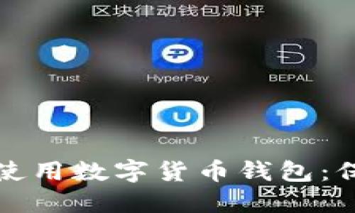 如何安全高效地使用数字货币钱包:保护你的数字资产