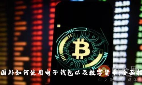 在国外如何使用电子钱包以及数字货币:全面指南