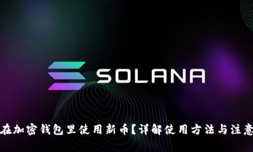 如何在加密钱包里使用新币？详解使用方法与注意事项