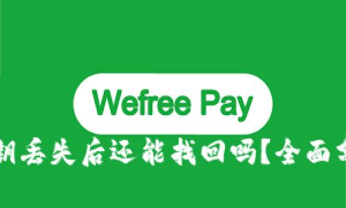 区块链钱包私钥丢失后还能找回吗?全面分析与解决方案