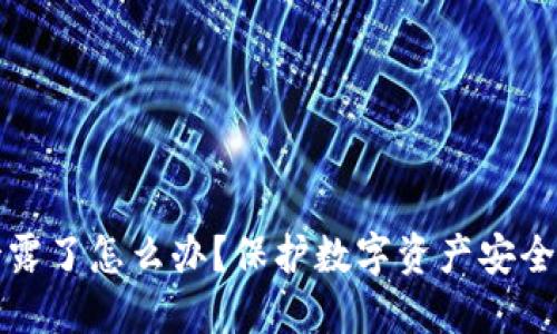 TP钱包密钥泄露了怎么办?保护数字资产安全的全方位指南