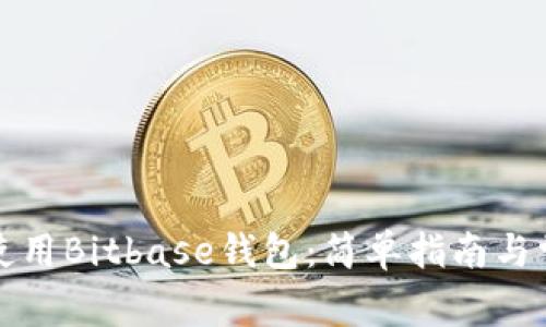 如何下载和使用Bitbase钱包:简单指南与常见问题解答