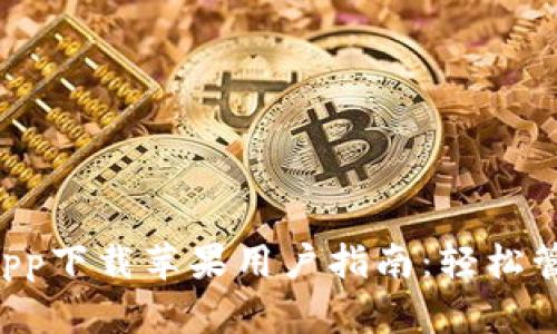 使用Topay钱包app下载苹果用户指南:轻松管理您的数字资产