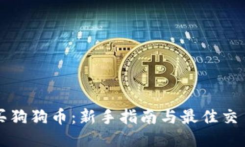 如何购买狗狗币:新手指南与最佳交易所推荐