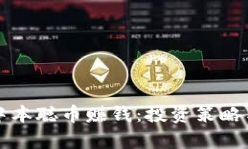 如何通过中本聪币赚钱:投资策略与风险分析