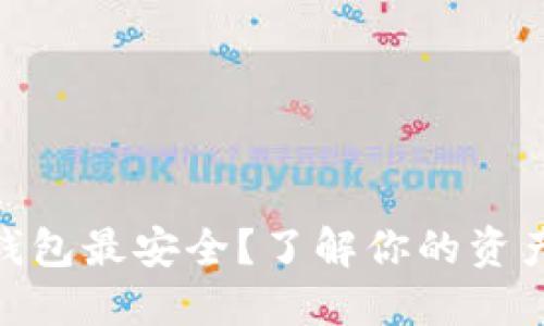 哪个数字钱包最安全?了解你的资产保护之道