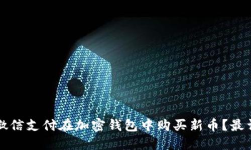 如何利用微信支付在加密钱包中购买新币?最详细的指南