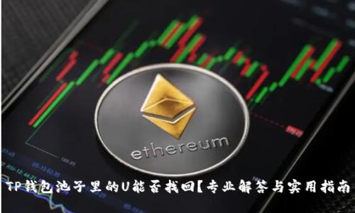 TP钱包池子里的U能否找回?专业解答与实用指南