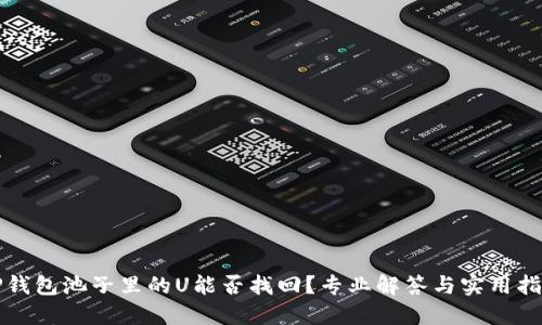 TP钱包池子里的U能否找回?专业解答与实用指南