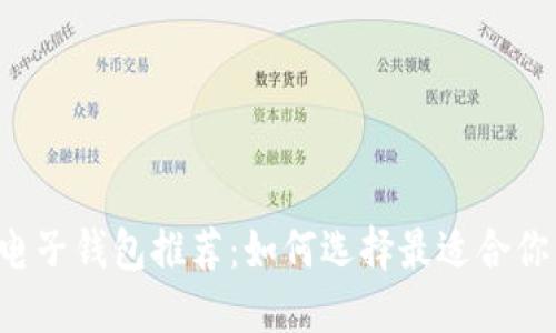 区块链电子钱包推荐：如何选择最适合你的钱包？