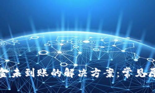 TP钱包转账资金未到账的解决方案：常见原因与解决方法