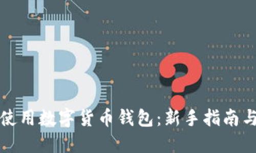 如何正确使用数字货币钱包：新手指南与实用技巧