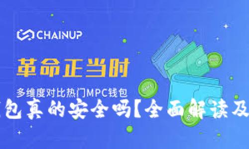 区块链钱包真的安全吗？全面解读及使用指南