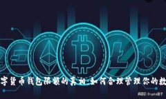 揭开数字货币钱包限额的