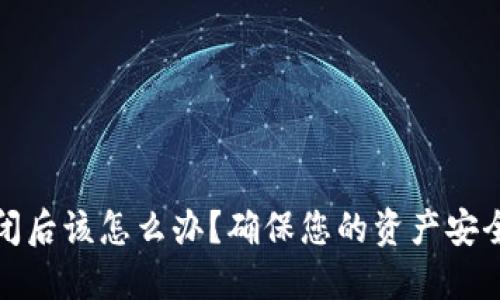 加密钱包倒闭后该怎么办？确保您的资产安全的终极指南