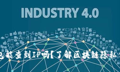 区块链钱包能查到IP吗？了解区块链隐私保护的真相