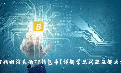 如何找回消失的TP钱包币？详解常见问题及解决方案