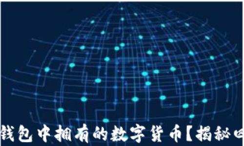
如何查看TP钱包中拥有的数字货币？揭秘四种简单方法