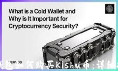 TP钱包如何购买Kishu币：详