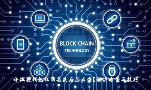 小狐狸钱包私钥丢失后怎么办?解决方案与技巧