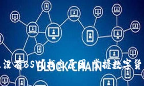 TP钱包为什么没有BSV?找出原因,掌握数字货币投资新趋势