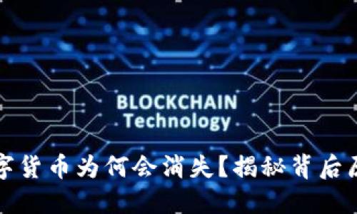 TP钱包中的数字货币为何会消失?揭秘背后原因与解决方案