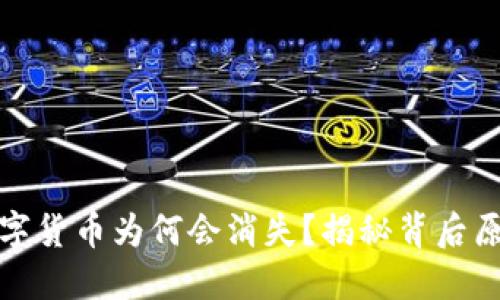 TP钱包中的数字货币为何会消失?揭秘背后原因与解决方案