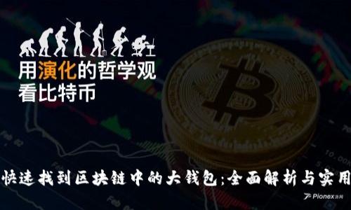 如何快速找到区块链中的大钱包：全面解析与实用指南