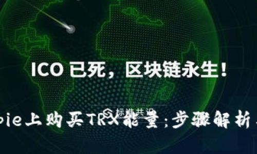 如何在Bitpie上购买TRX能量:步骤解析与实用技巧