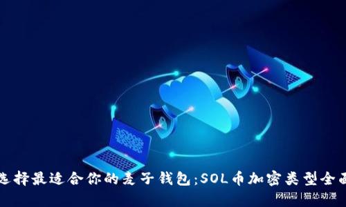 如何选择最适合你的麦子钱包：SOL币加密类型全面解析