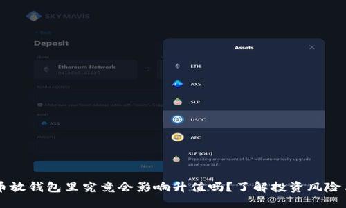 虚拟币放钱包里究竟会影响升值吗？了解投资风险与潜力