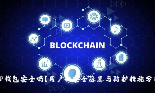 TP钱包安全吗？用户的安全隐患与防护措施分析