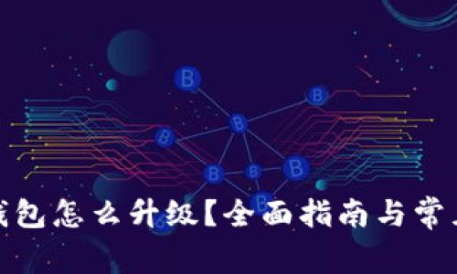 数字货币钱包怎么升级?全面指南与常见问题解答