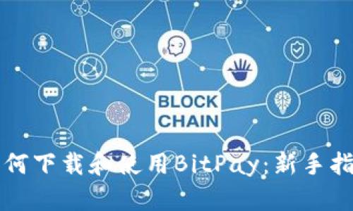 如何下载和使用BitPay：新手指南