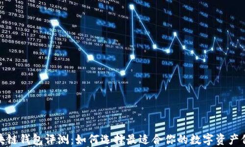 最佳区块链钱包评测:如何选择最适合你的数字资产保护工具