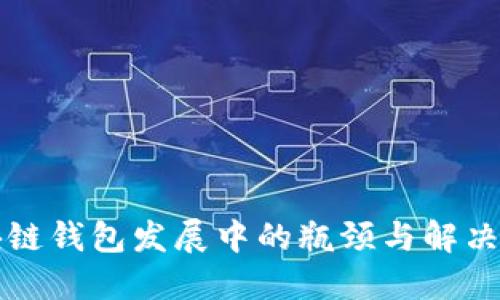 区块链钱包发展中的瓶颈与解决方案