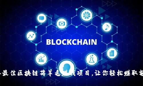 2023年最佳区块链薅羊毛赚钱项目,让你轻松赚取额外收益